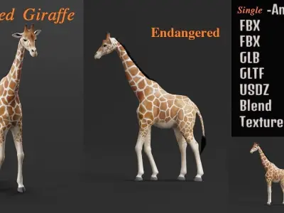 Reticulated Giraffe 3D model