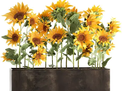 Sunflowers in a flowerpot 1021 3D model