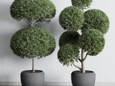 Topiary plant in an old concrete pot 3D model