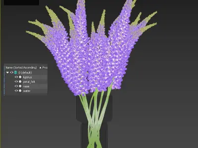 Bouquet of lupinus flowers 3D model