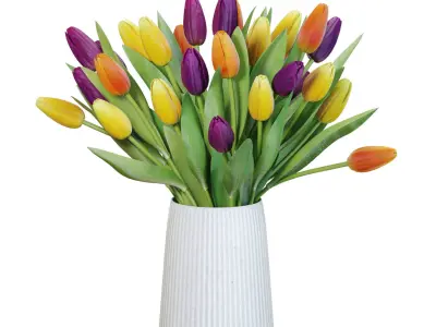 Flower Set 28 - Multicolor Tulips Bouquet 3D model