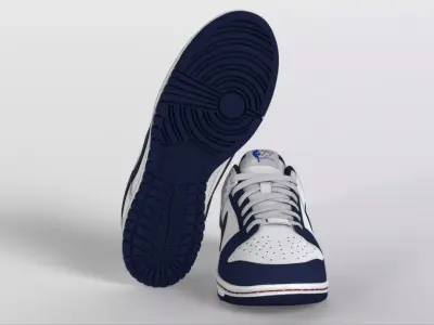 NBA x Nike Dunk Low EMB Low-poly 3D model