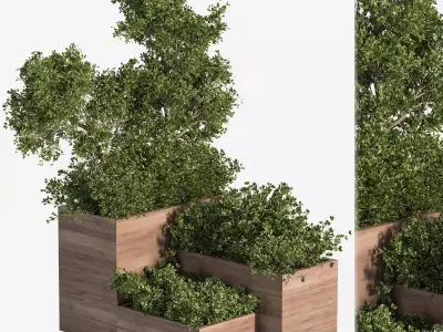 Outdoor Plants Tree in Plant Box Set02 3D model
