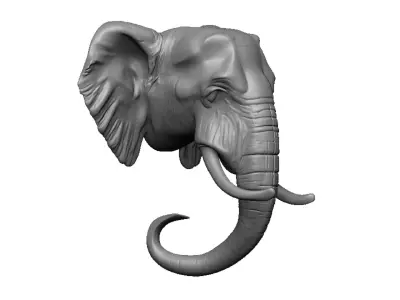 elephant head 3D print model order