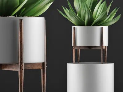 Plants Collection 73 3D model