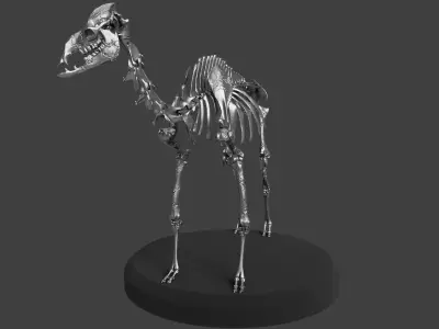 Silver Camel Skeleton 3D model