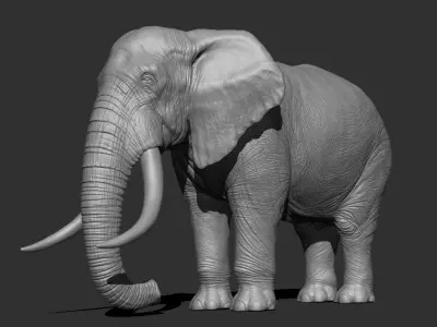 Elephant Low-poly 3D model