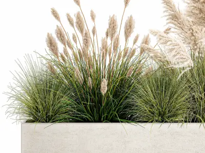 Potted reeds for landscaping 1077 3D model