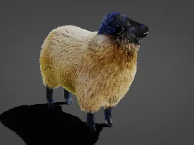 Fur Sheep Rigged in Blender  Low-poly 3D model