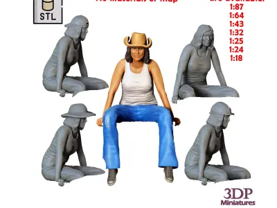 N1 Woman sitting on the back of pickup truck 3D print model