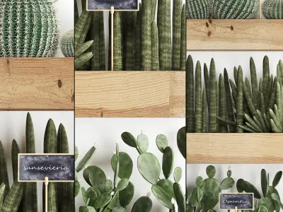 Cactus set wall decor vertical garden 42 3D model