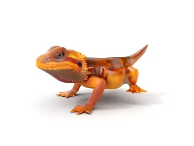 Bearded Lizard Model Pack with Detailed Textures Low-poly 3D model