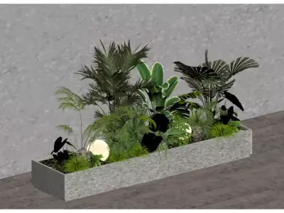Tropical Plant Combination 3D model