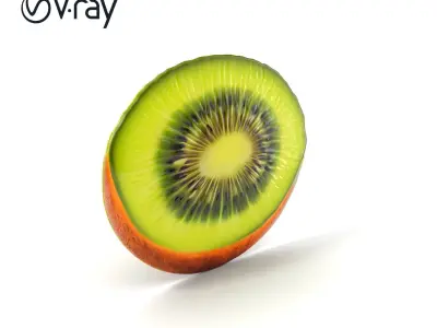 Kiwi Fruit Slice Realistic Model Pack Low-poly 3D model