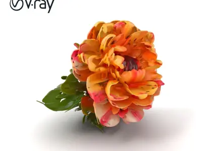 Ranunculus Flower Realistic Texture Model Pack Low-poly 3D model