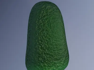 Avocado Half PBR low poly game ready Low-poly 3D model