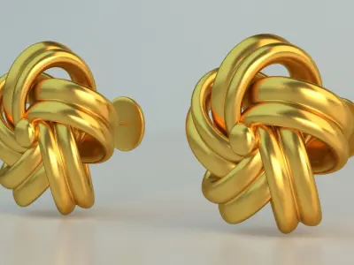 Ear Rings 3D model