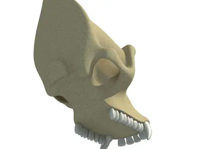 Gorilla Skull 3D model