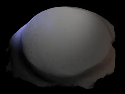 Historical object 019 3D print model