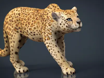 JAGUAR cheetah 3D model