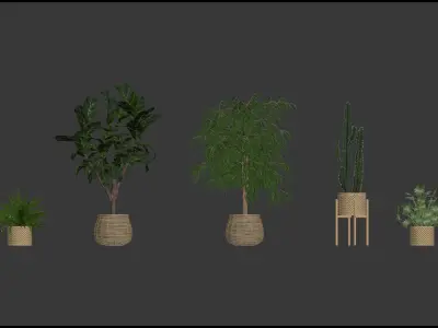 20 Photorealistic Flowers for Interiors - set 203 205 218 219 3D Model Collection