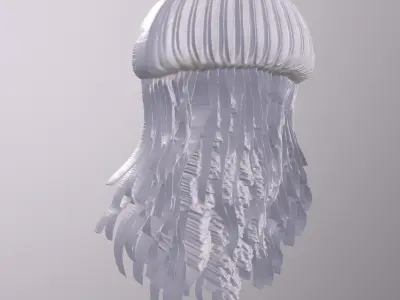 Jellyfish 8 basrelief for 3D printing 3D print model