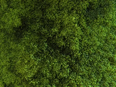 Seamless PBR Moss Substance Material Texture