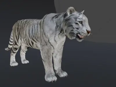 White Tiger with Fur Male 3D 3D model
