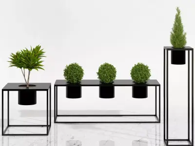 Room plants 3D model