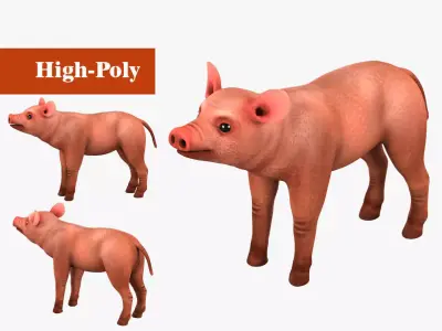 pig rig  high-poly  textured 3D model