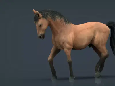 SPANISH HORSE Low-poly 3D model