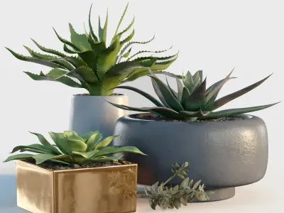 Collection plants 3D model 02