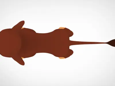 Kahawia Cub 3D model