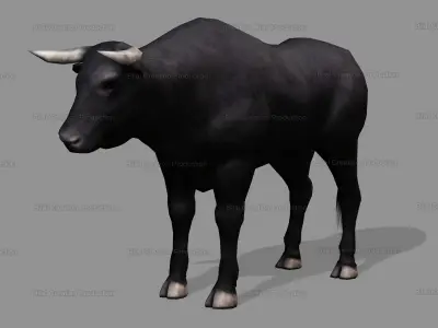 BULL ANIMATED Low-poly 3D model