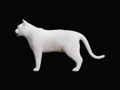 Turkish Angora Cat Low-poly 3D model