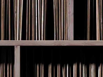 Ceiling straight thin branch n2 3D model