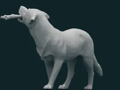 3D Dog Model 3D model