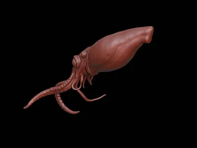 Squid Animal Sculpture 3D print model