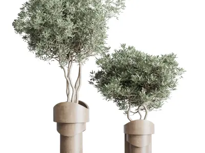 Collection indoor plant 265 plant tree bush vase concrete vase 3D model