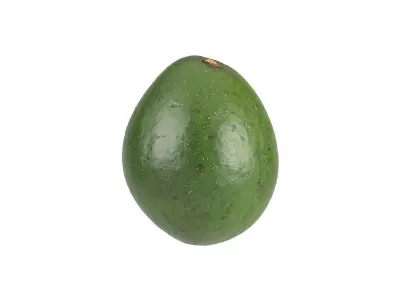 Photorealistic Avocado 3D Scan 3 3D model