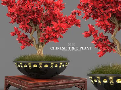 chinese tree plant 3D model