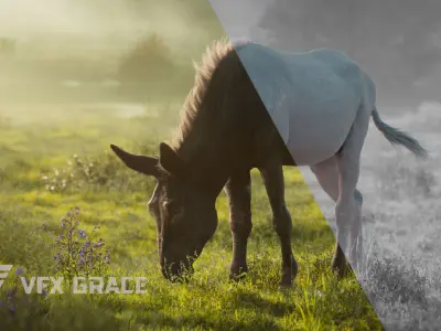 Donkey Summer Animation VFX Grace 3D model