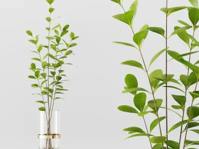 Collection Indoor Plants 028 3D model