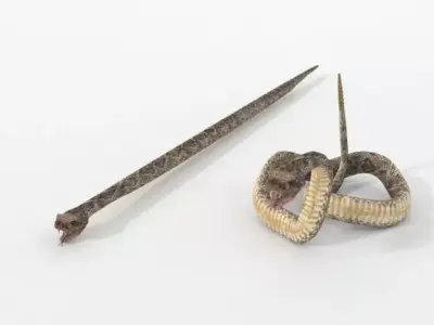 Rattlesnake knife and snake Low-poly 3D model