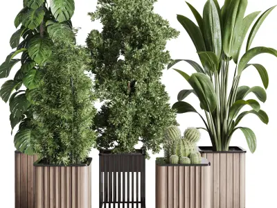 stand plant box  collection Indoor plant 242 wooden 3D model