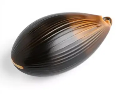 Glossy Black Capsule model pack Low-poly 3D model