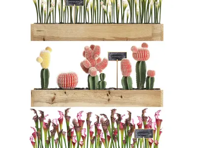 Cactus set wall decor vertical garden 44 3D model