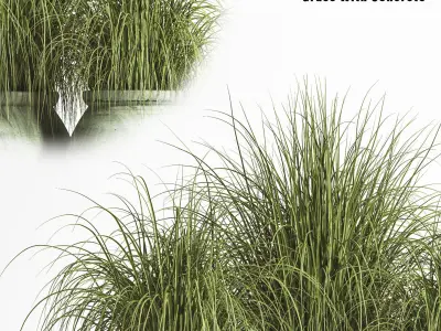 plant outdoor set 01 3D model