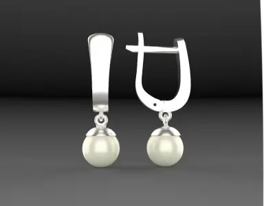 Earrings Elegant 3D print model