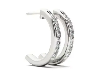earrings 3D print model order